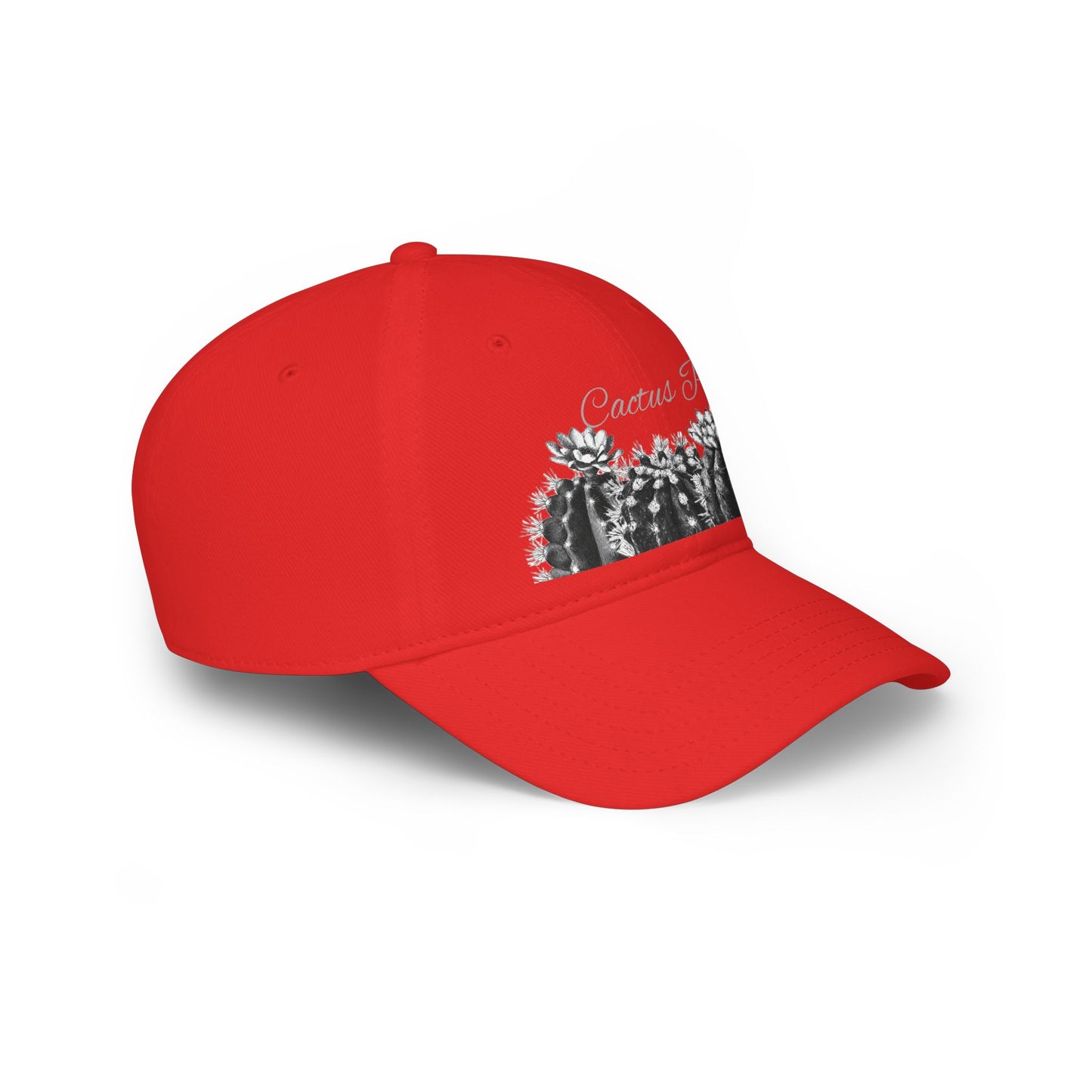 Low Profile Baseball Cap Cactus Party